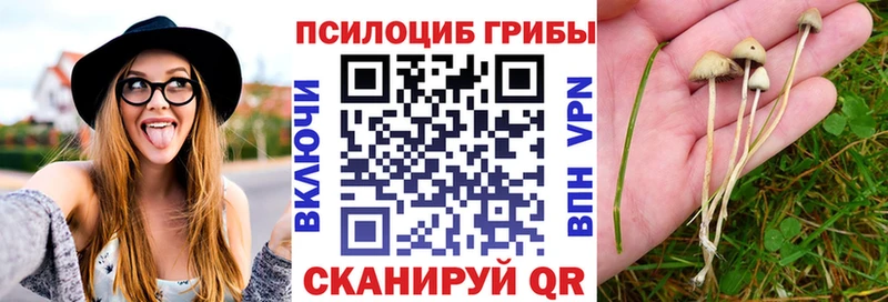 Псилоцибиновые грибы ЛСД  мориарти телеграм  Любим 